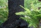 Reedy Swampsustainable-landscaping-15.jpg; ?>