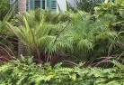 Reedy Swamptropical-landscaping-2.jpg; ?>